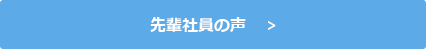 先輩社員の声