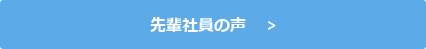 先輩社員の声